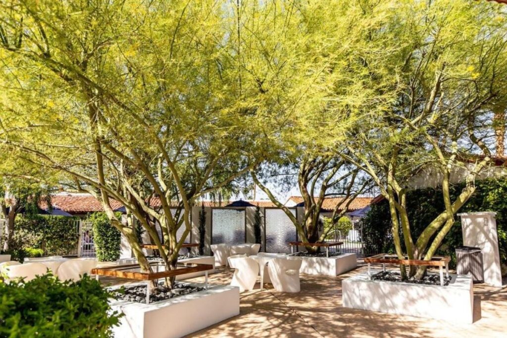 Alcazar Palm Springs - Image 4