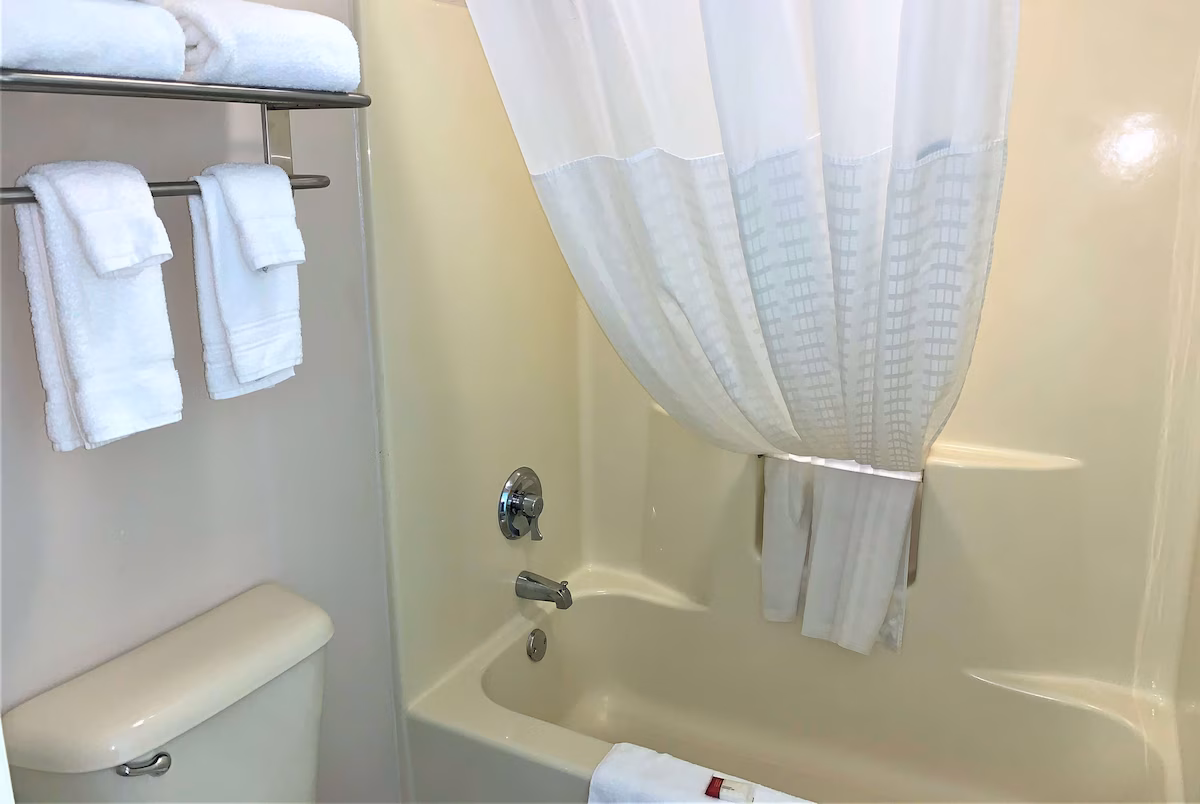 Baymont by Wyndham Eden - Image 1