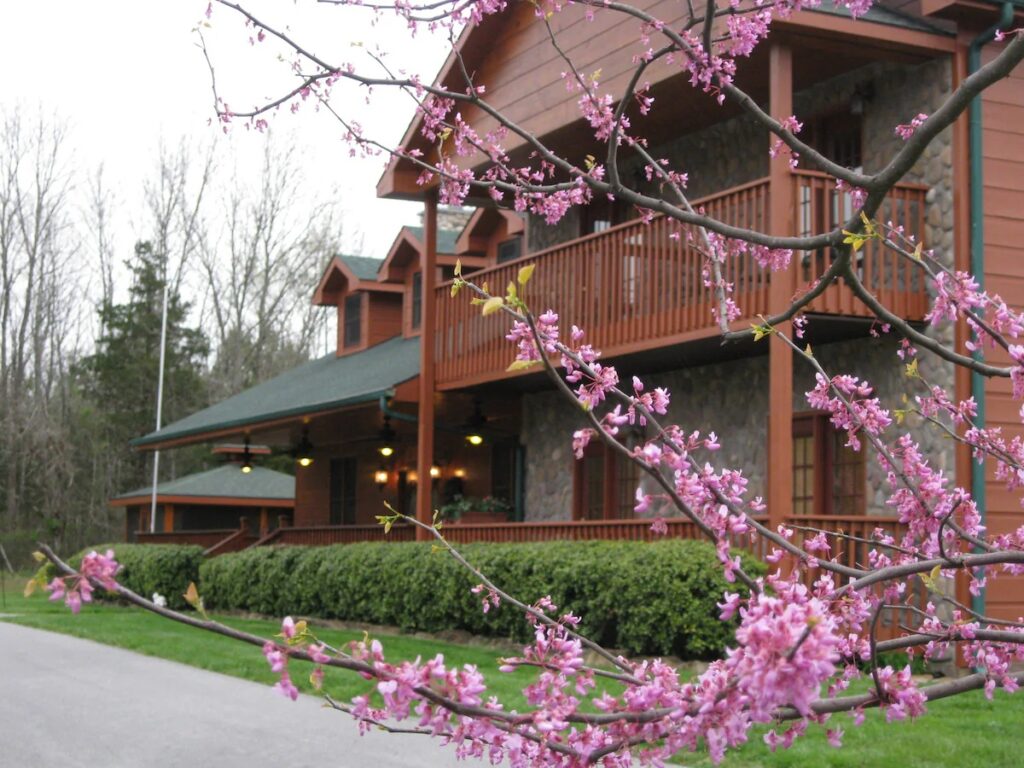 Berry Springs Lodge - Image 4
