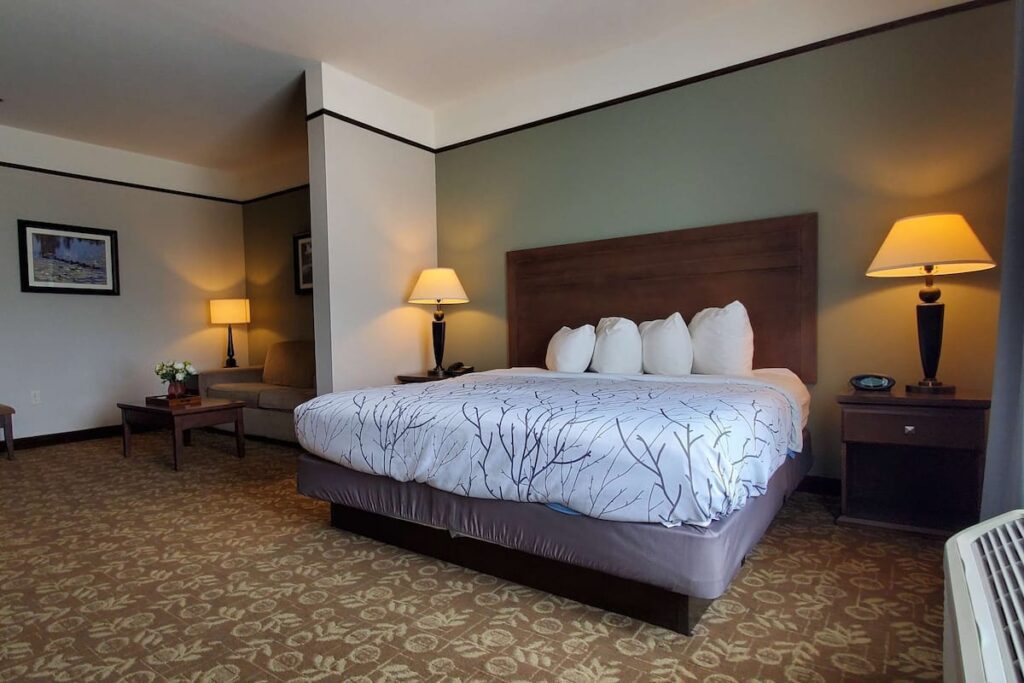 Best Western Plus Emory At Lake Fork Inn & Suites - Image 4