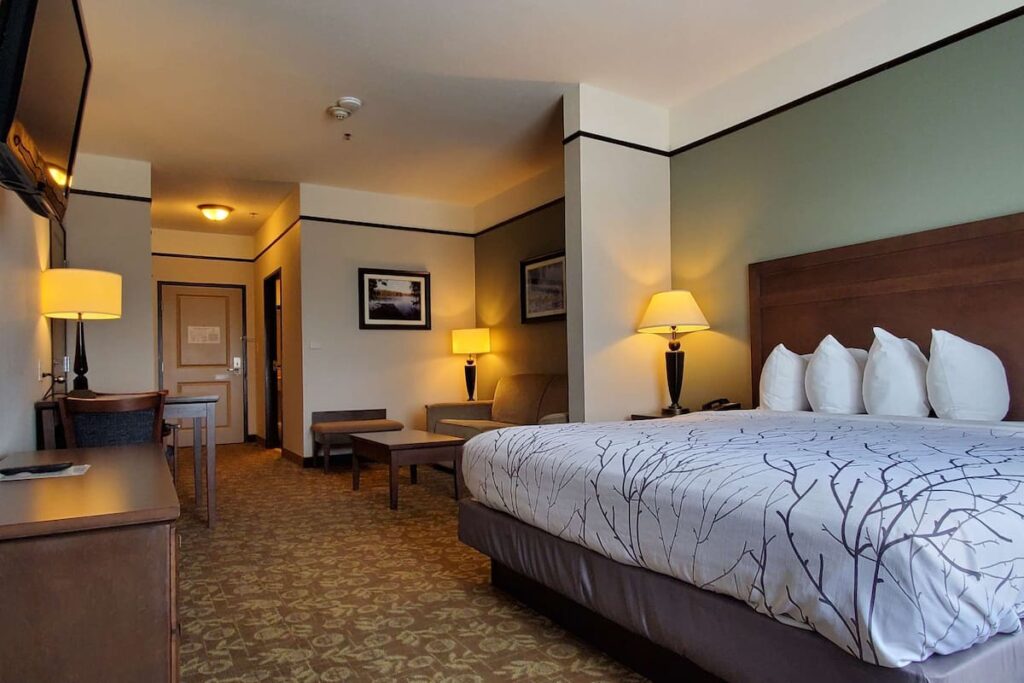 Best Western Plus Emory At Lake Fork Inn & Suites - Image 3