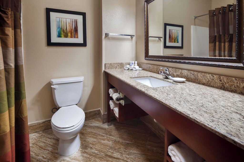 Best Western Plus Monahans Inn & Suites - Image 4