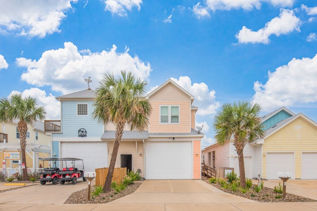 Bird in Paradise - Image 2