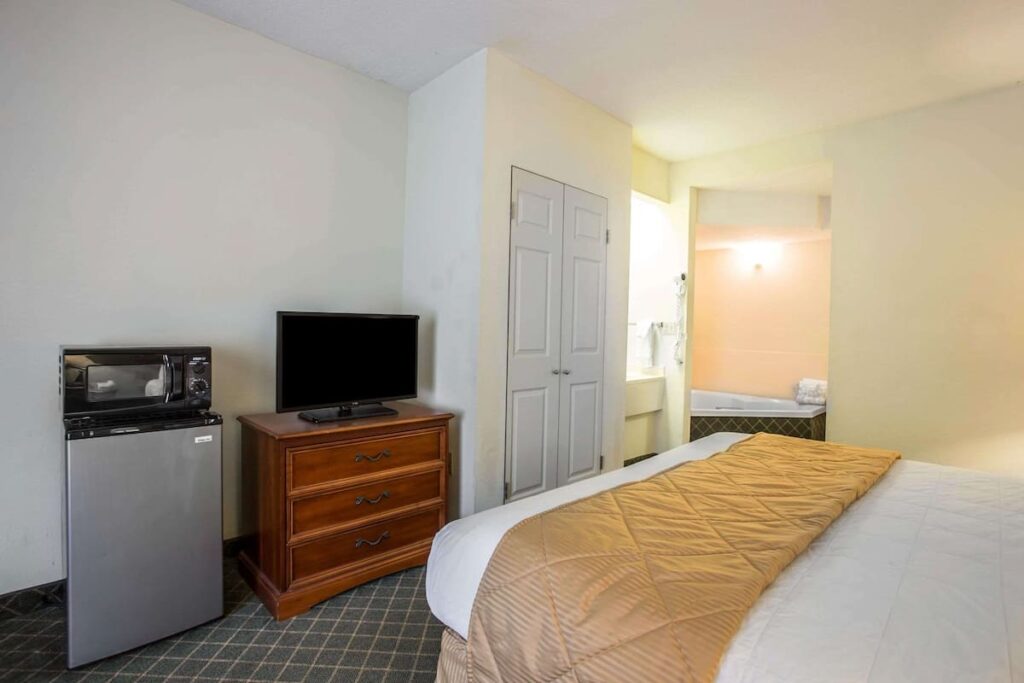 Clarion Inn & Suites Aiken South - Image 3