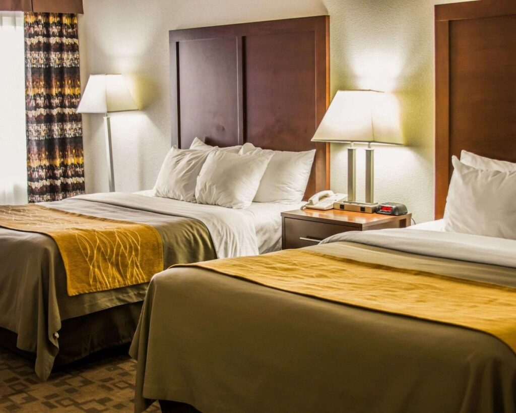 Comfort Inn Birch Run – Frankenmuth - Image 3