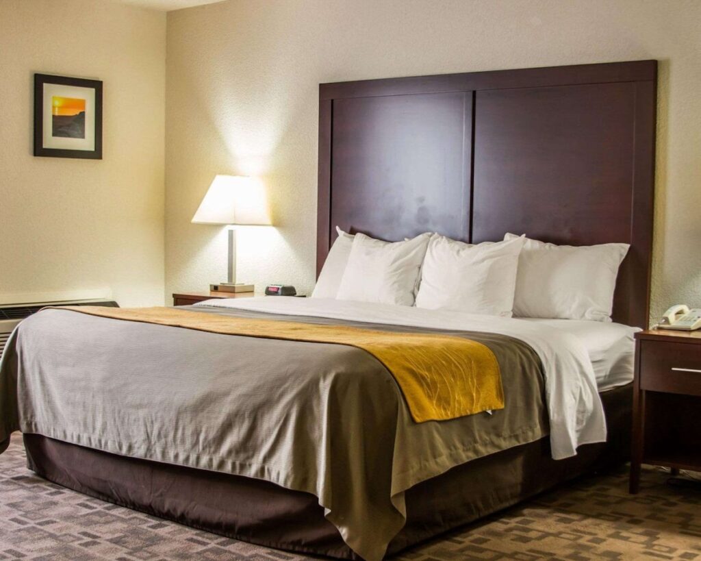 Comfort Inn Birch Run – Frankenmuth - Image 2