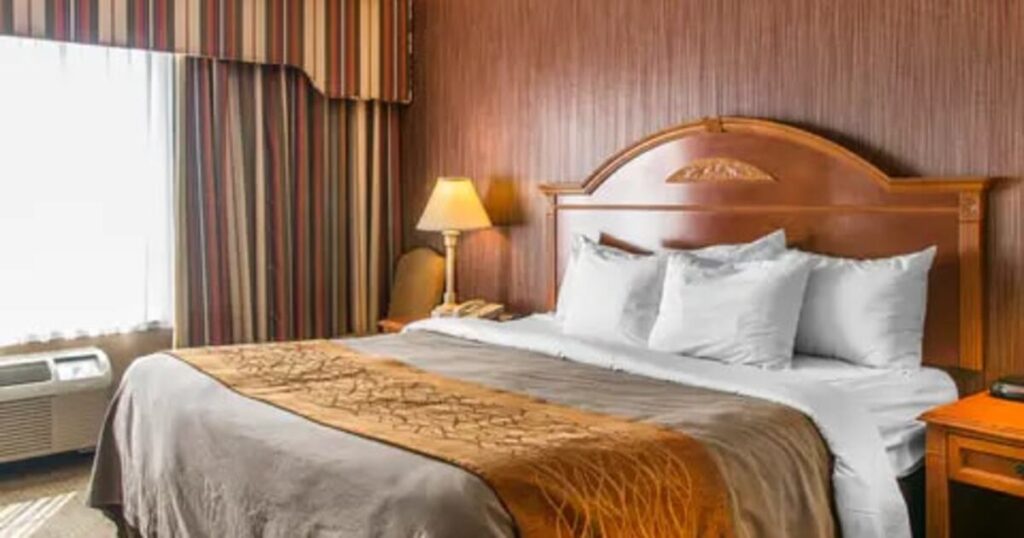 Comfort Inn Chelsea - Image 4