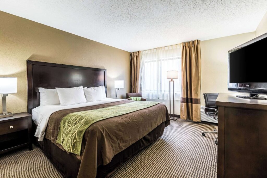 Comfort Inn Detroit Downtown - Image 3