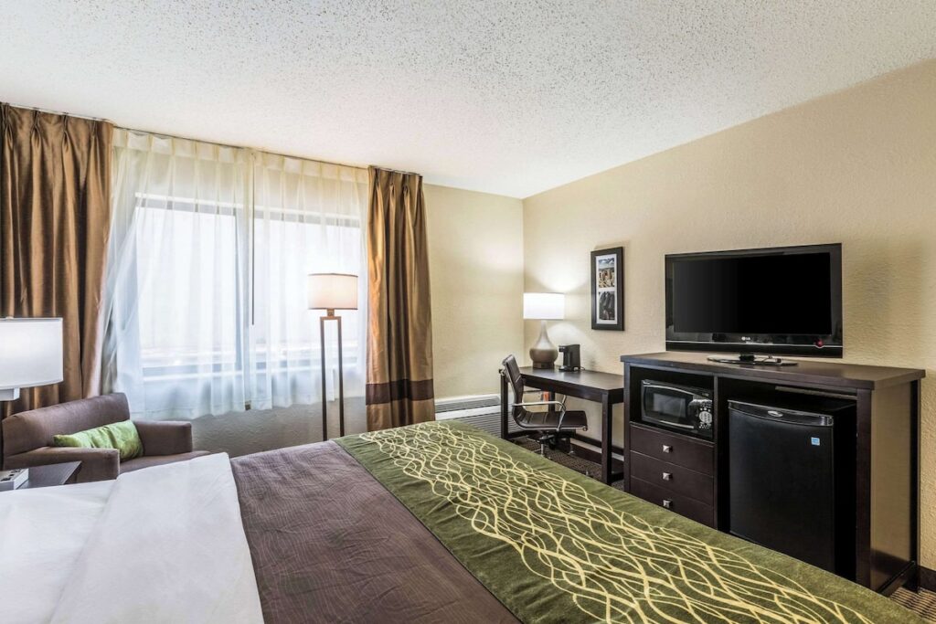 Comfort Inn Detroit Downtown - Image 4