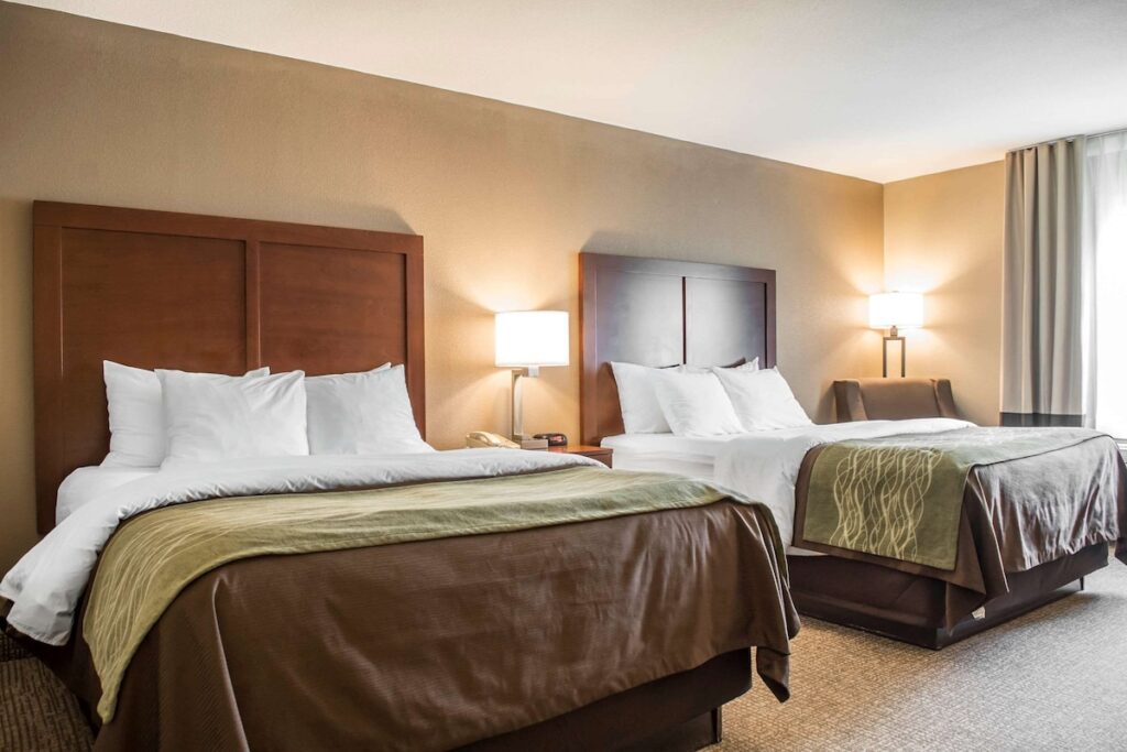 Comfort Inn Edinburg South - Image 3