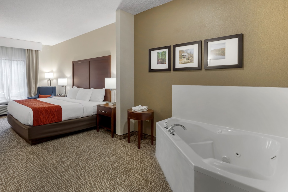 Comfort Inn Suites 4