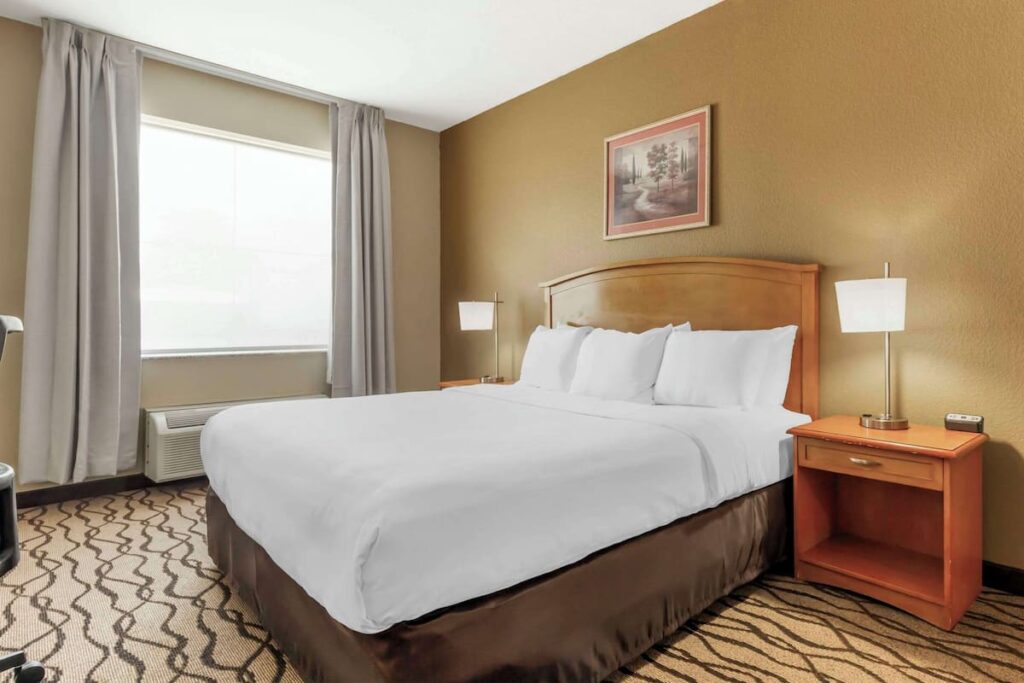 Comfort Inn & Suites Chesapeake – Portsmouth - Image 3
