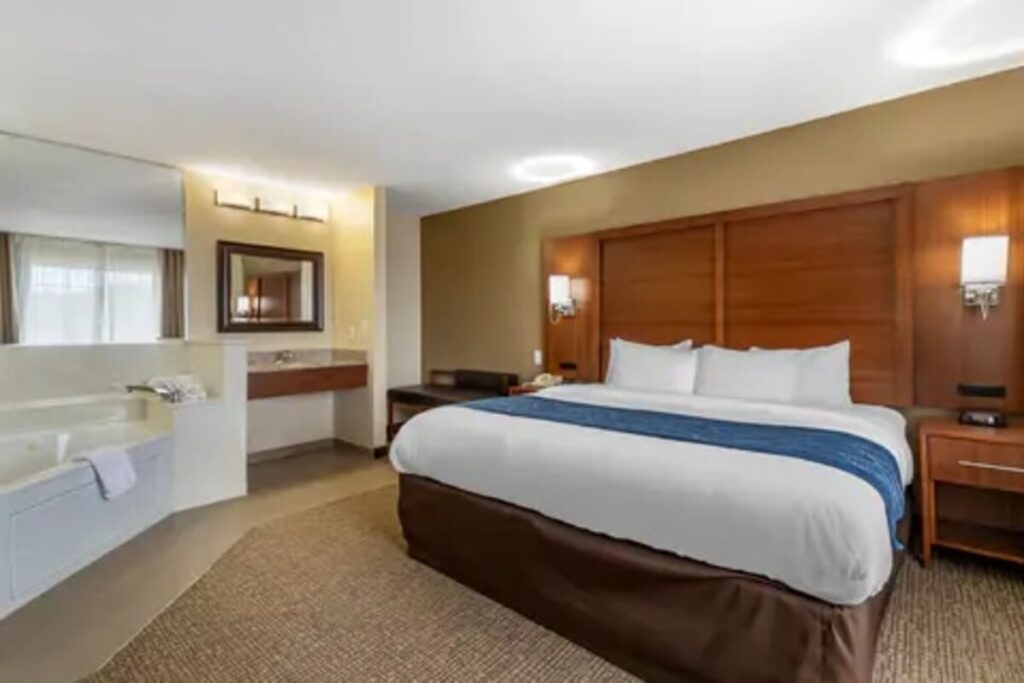 Comfort Inn & Suites Texas Hill Country - Image 3