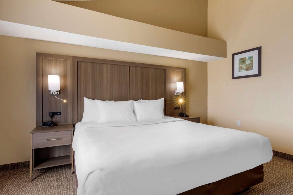 Comfort Suites DFW Airport - Image 2