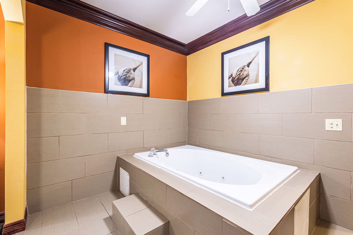 Comfort Suites Lake Jackson Clute