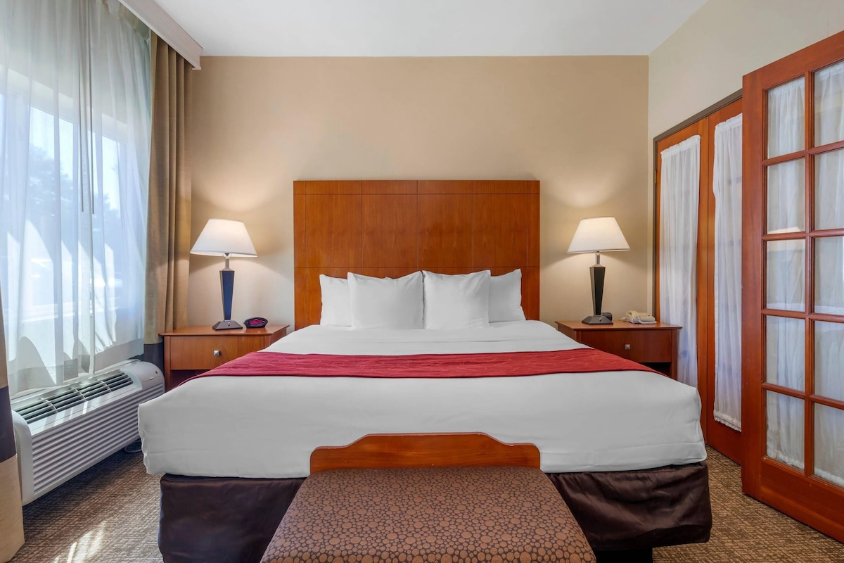 Comfort Suites North Dallas room 1