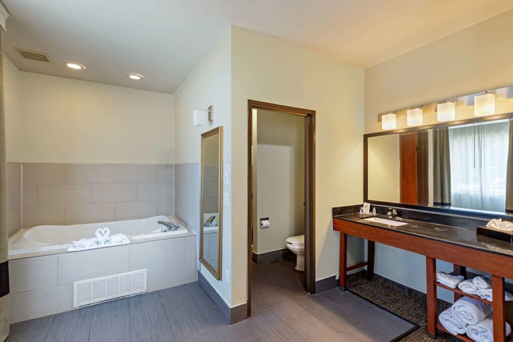 Comfort Suites North Dallas - Image 2