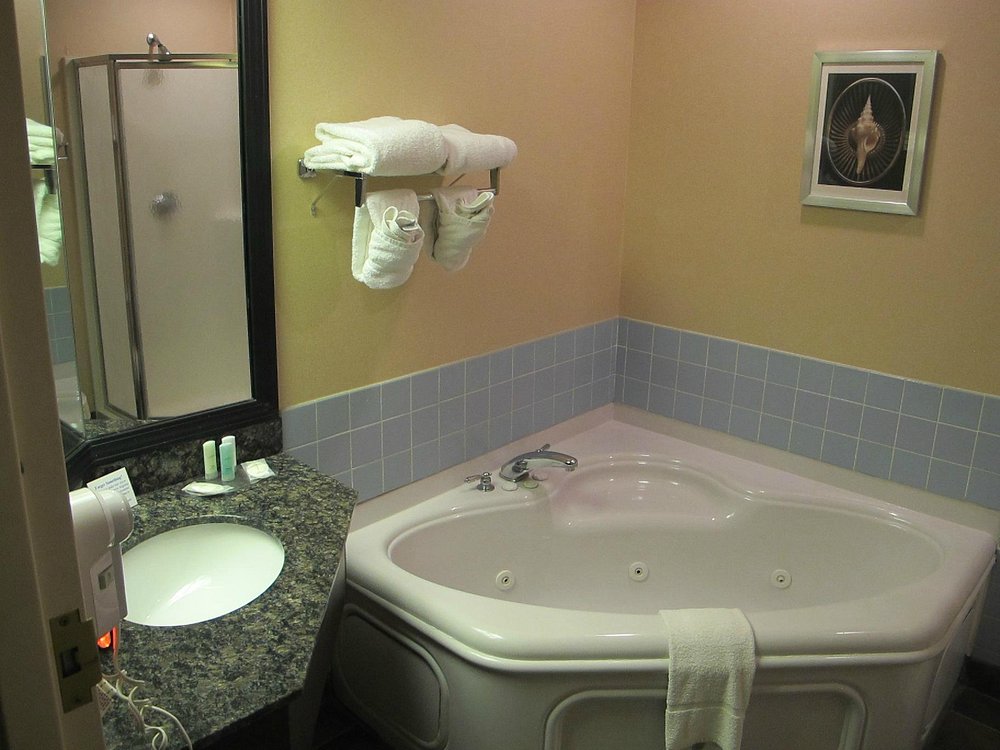 Comfort Suites University Area Notre Dame – South Bend - Image 1