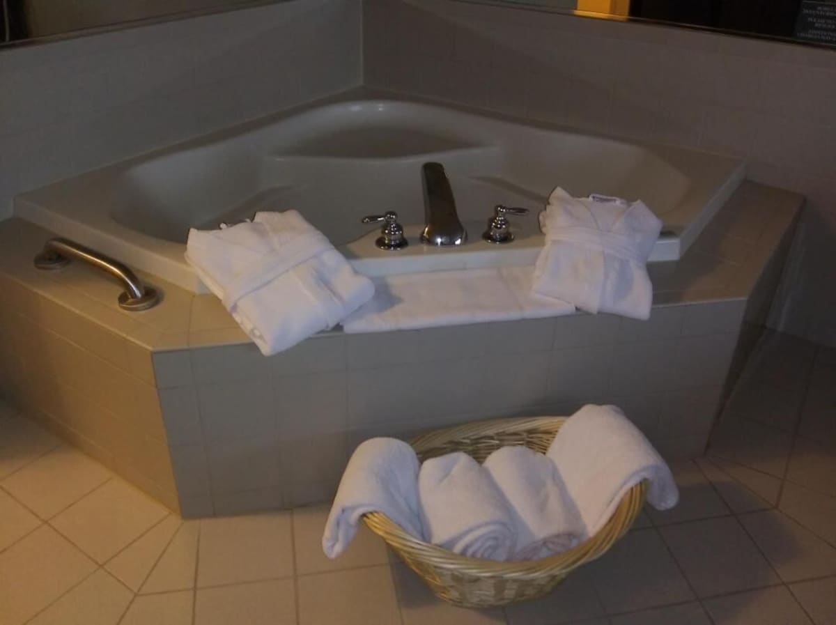 Country Inn Suites by Radisson Dundee MI
