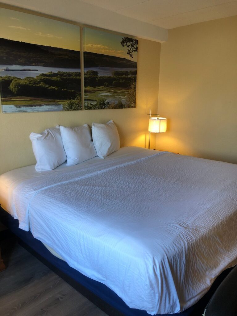 Days Inn & Suites by Wyndham Caseyville - Image 1