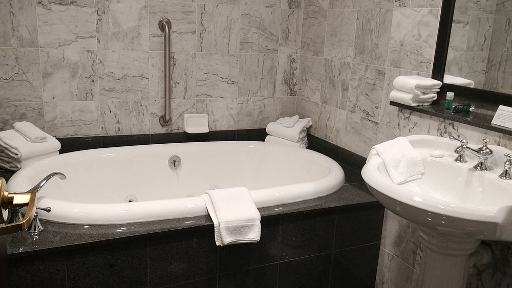 Drury Plaza Hotel St. Louis at the Arch - Image 1