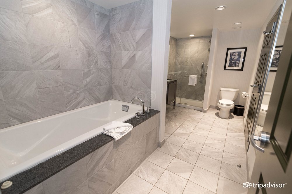 Embassy Suites by Hilton Charlotte Ayrsley - Image 1