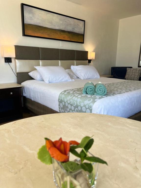 Flamingo Inn Beachfront – Daytona Beach - Image 1