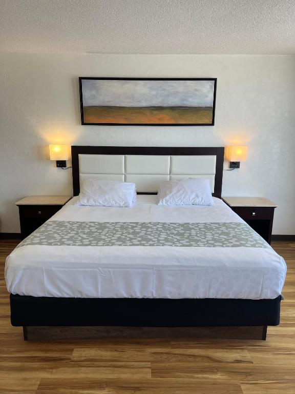 Flamingo Inn Beachfront – Daytona Beach - Image 4