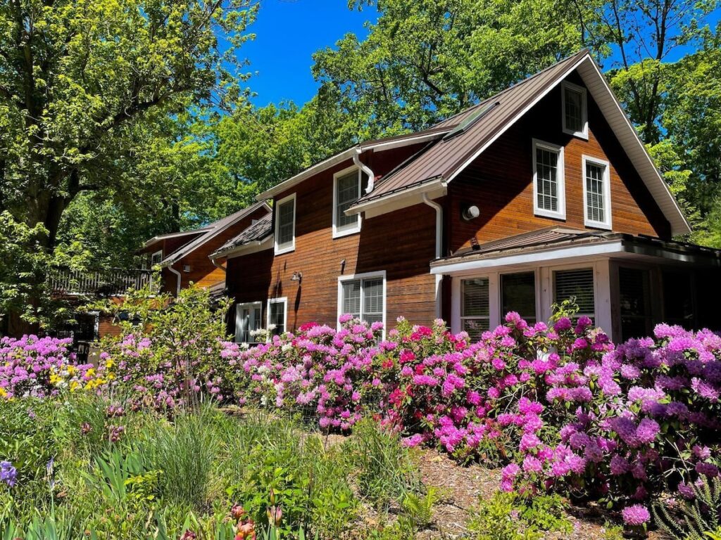 Goldberry Woods - Image 4