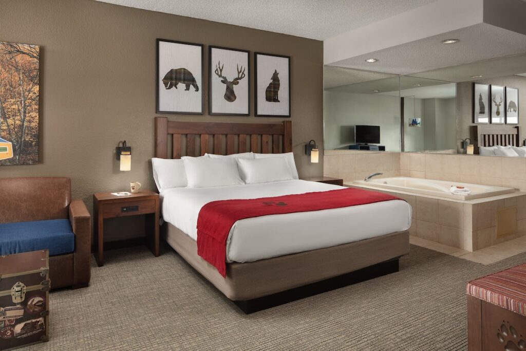 Great Wolf Lodge Grapevine - Image 1