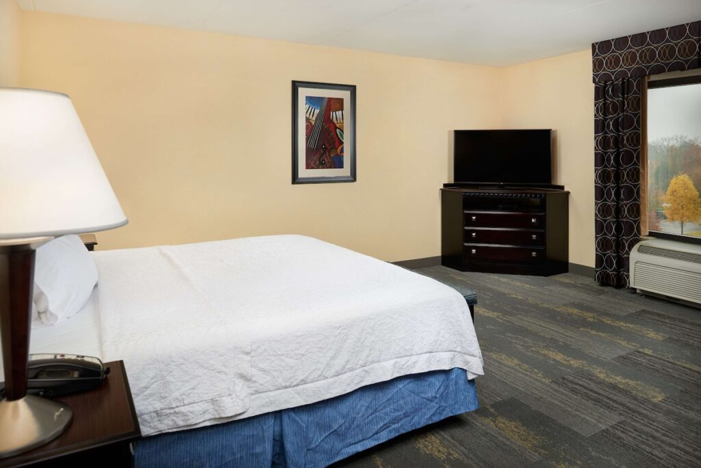 Hampton Inn & Suites Mt. Juliet - Image 4