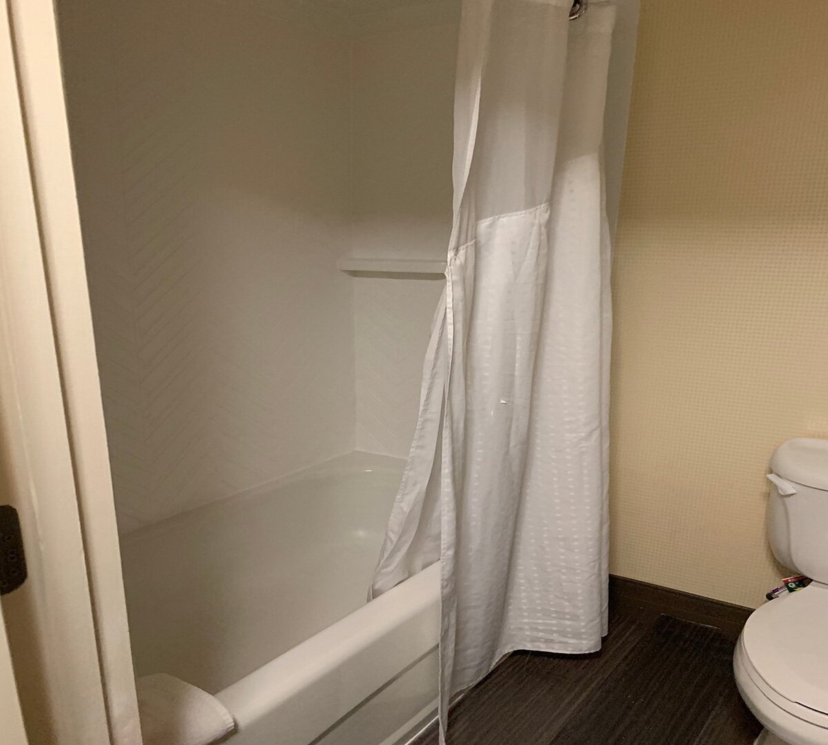 Holiday Inn Atlanta Gas South Arena Area by IHG