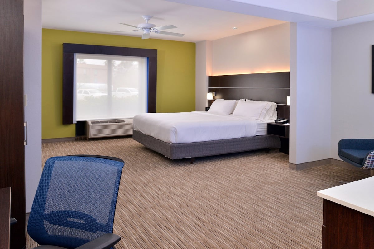 Holiday Inn Express Suites Laplace by IHG room 1
