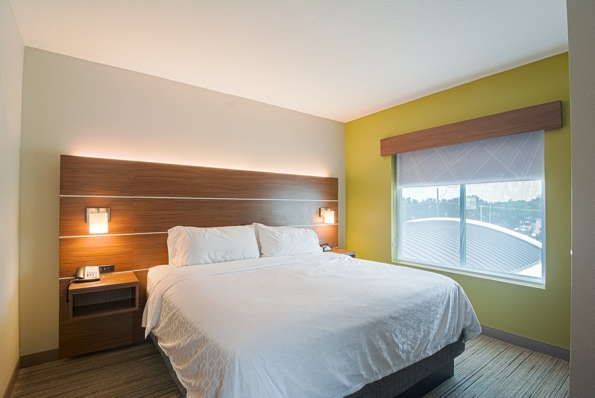 Holiday Inn Express Suites Tampa USF Busch Gardens by IHG St. Petersburg