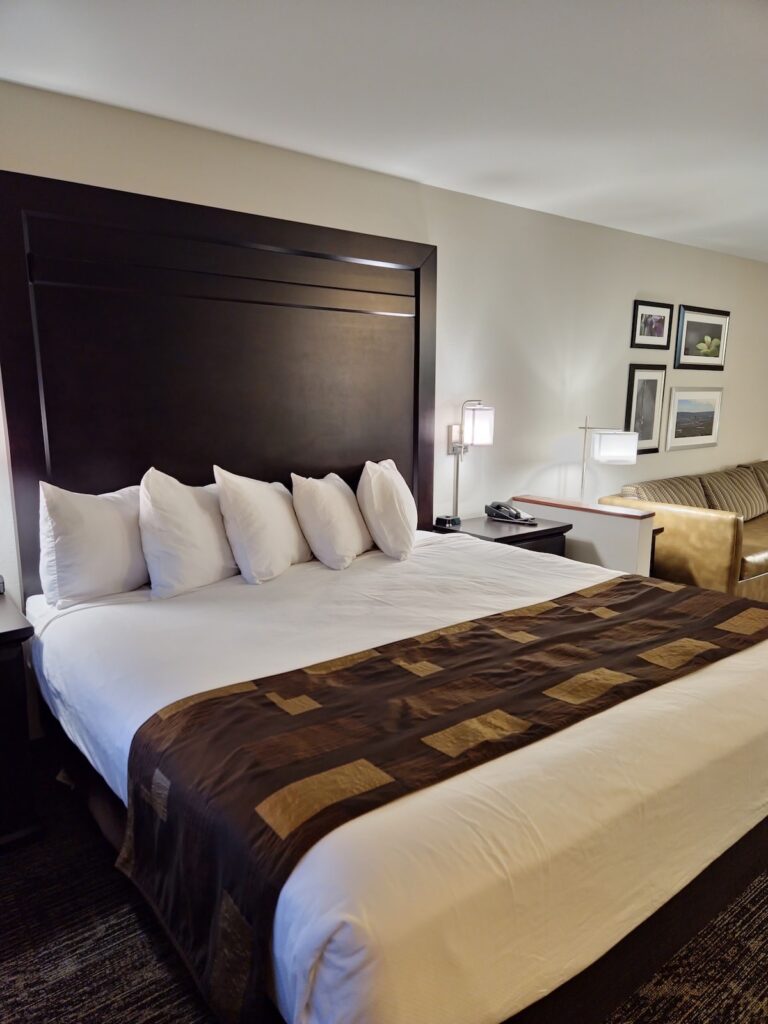 Kelly Inn Billings Montana - Image 3