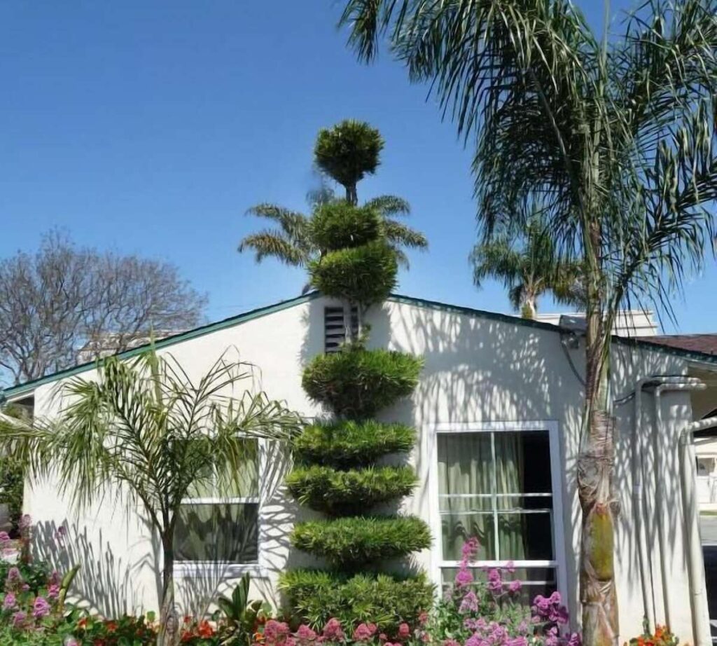 Mission Bell Motel - Image 5