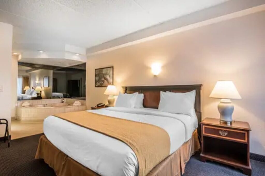 Quality Inn & Suites Albany Airport - Image 3
