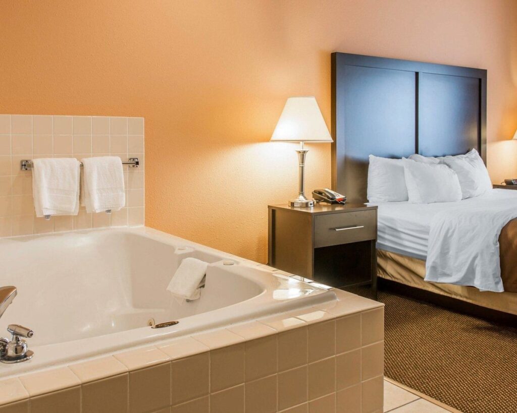 Quality Inn & Suites Niles - Image 1