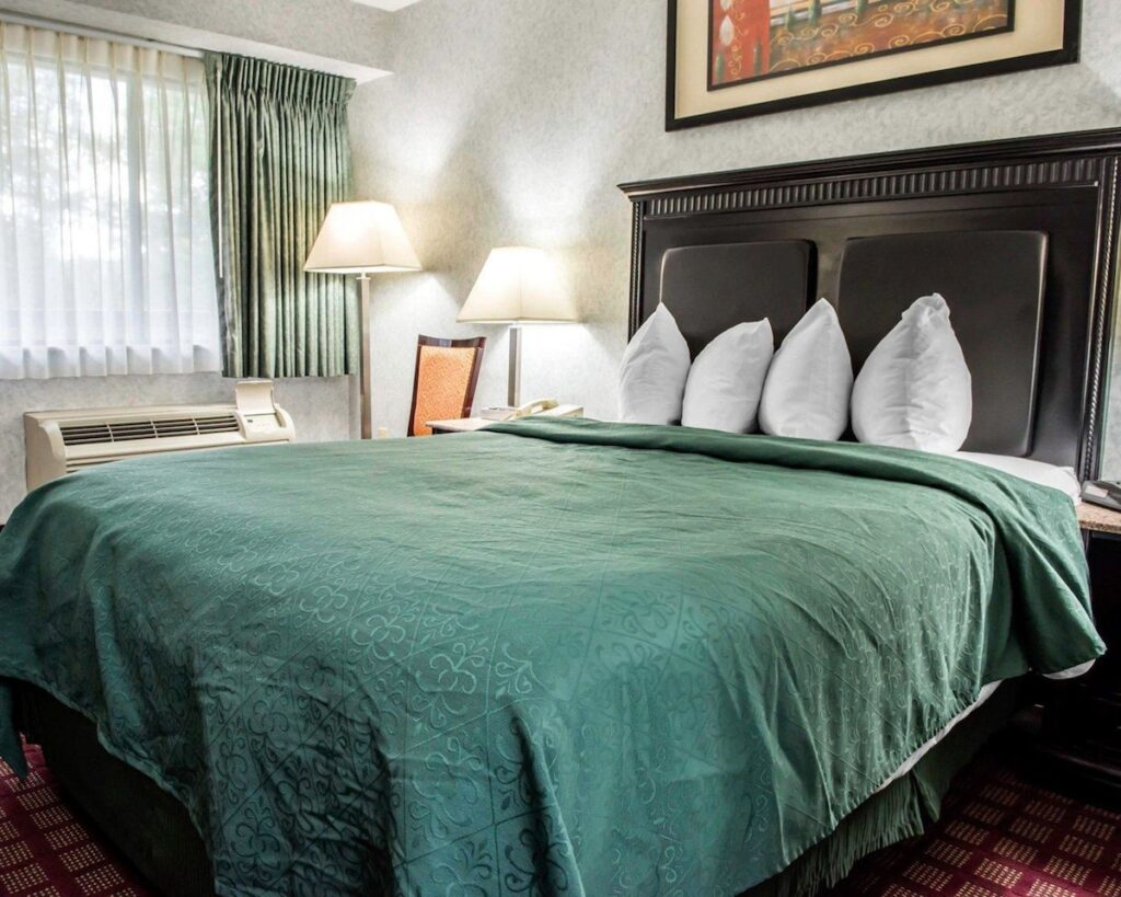 Quality Inn & Suites North - Image 3