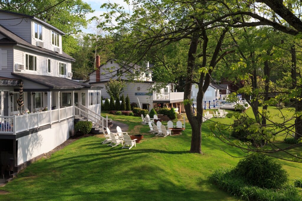 Silver Birches - Image 4