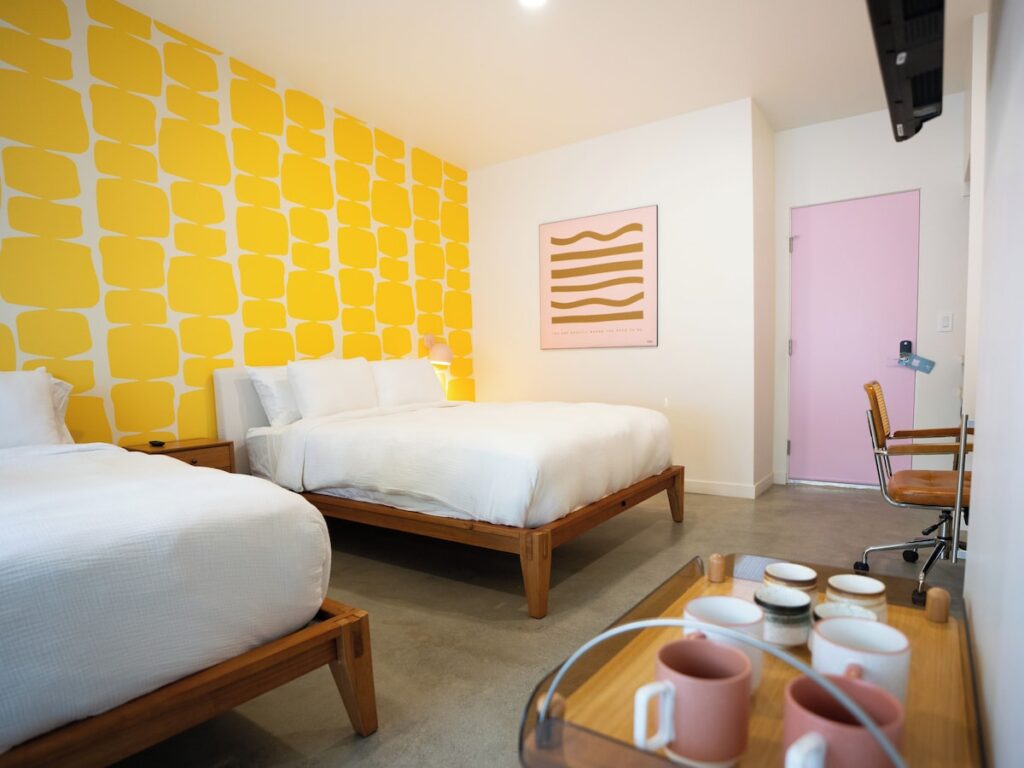 The Cactai - Image 2