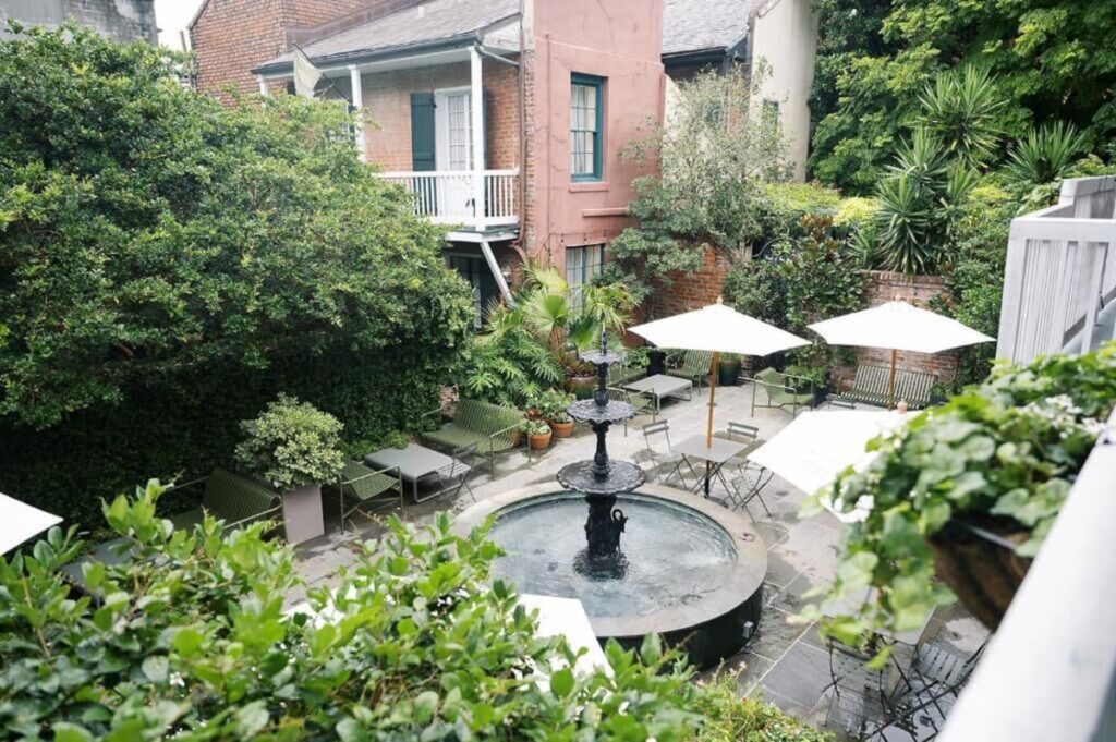 The Celestine - Image 2