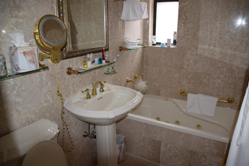 The Iroquois New York - Image 1