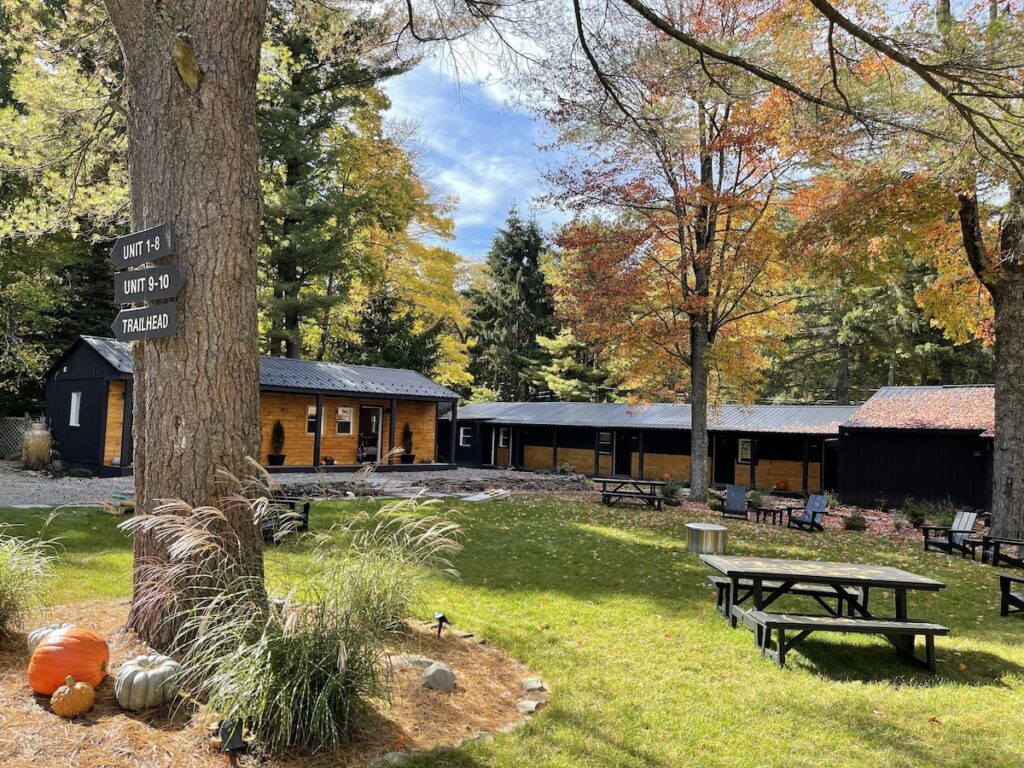 The Rex Hotel - Image 4