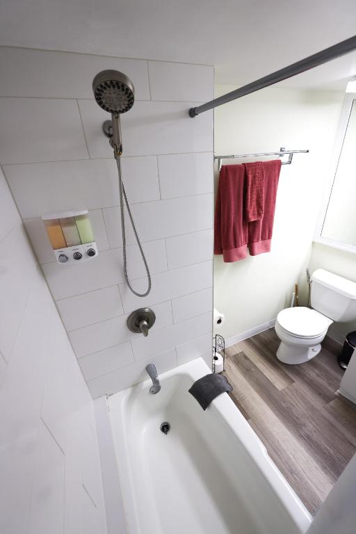 Tropical Studios at Marine Surf Waikiki - Image 1