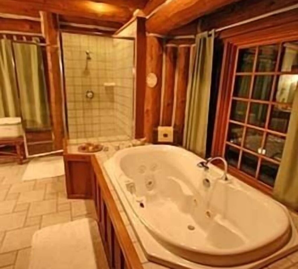 Wildberry Lodge - Image 1